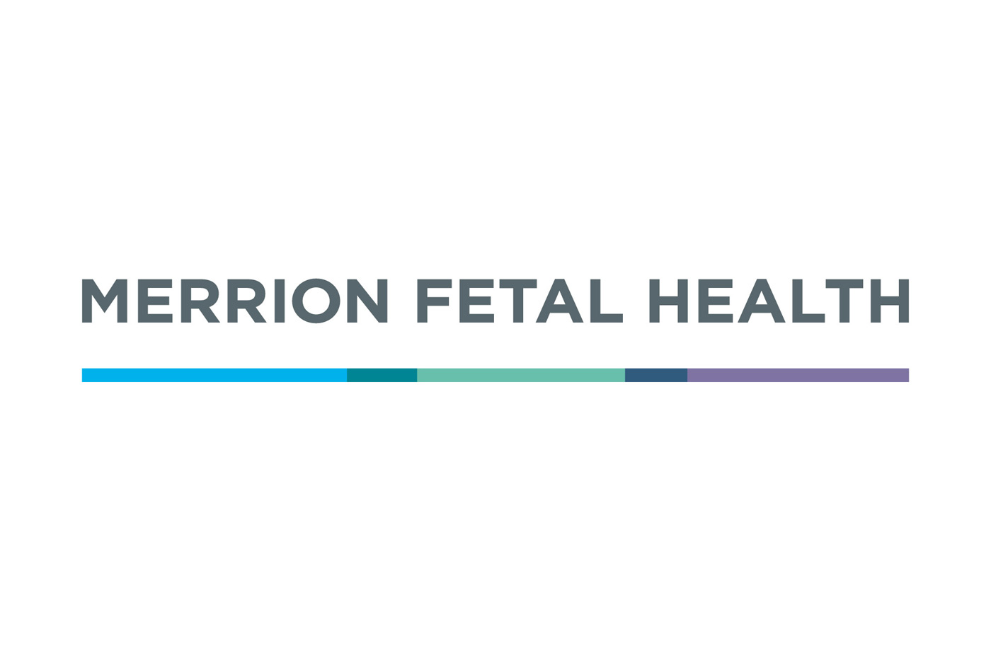 Merrion Fetal Health identity
